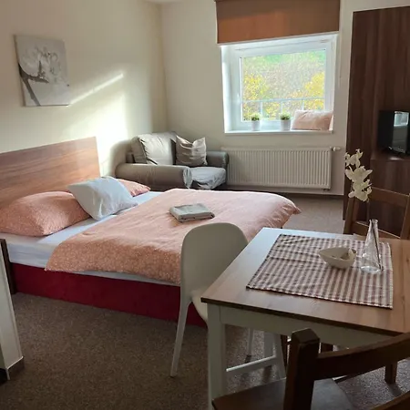 Rodinne U Stastnych Apartment *