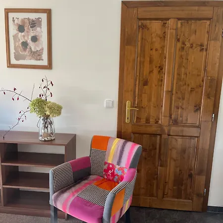 U Stastnych Apartament *