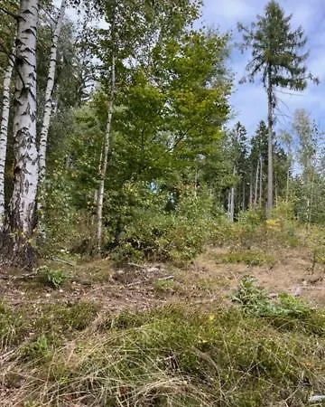 Rodinne U Stastnych